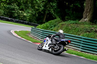 cadwell-no-limits-trackday;cadwell-park;cadwell-park-photographs;cadwell-trackday-photographs;enduro-digital-images;event-digital-images;eventdigitalimages;no-limits-trackdays;peter-wileman-photography;racing-digital-images;trackday-digital-images;trackday-photos